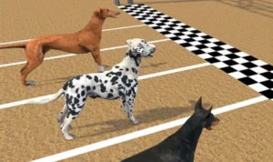 Đua Chó Tại Vui123