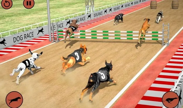 Cách chơi game nhanh Đua Chó Tại Vui123