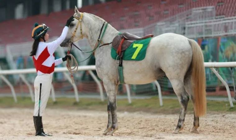 Cá Cược Đua Ngựa Vui123 Sân Chơi Đẳng Cấp Cho Giới Thượng Lưu 1 đua ngựa Vui123